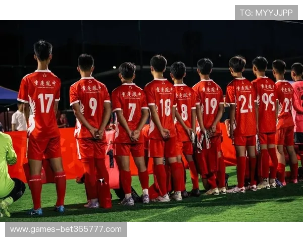 足球直播在线登录页面，轻松登录享受全场高清足球直播盛宴