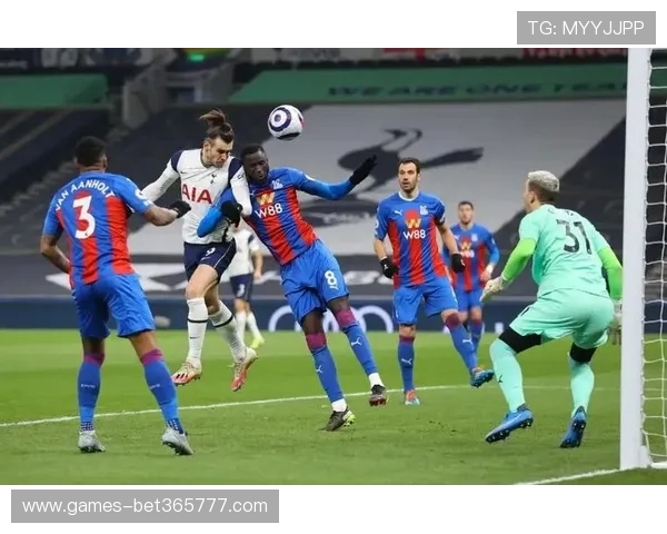 EMCbet体育：探索其品牌理念与未来发展方向